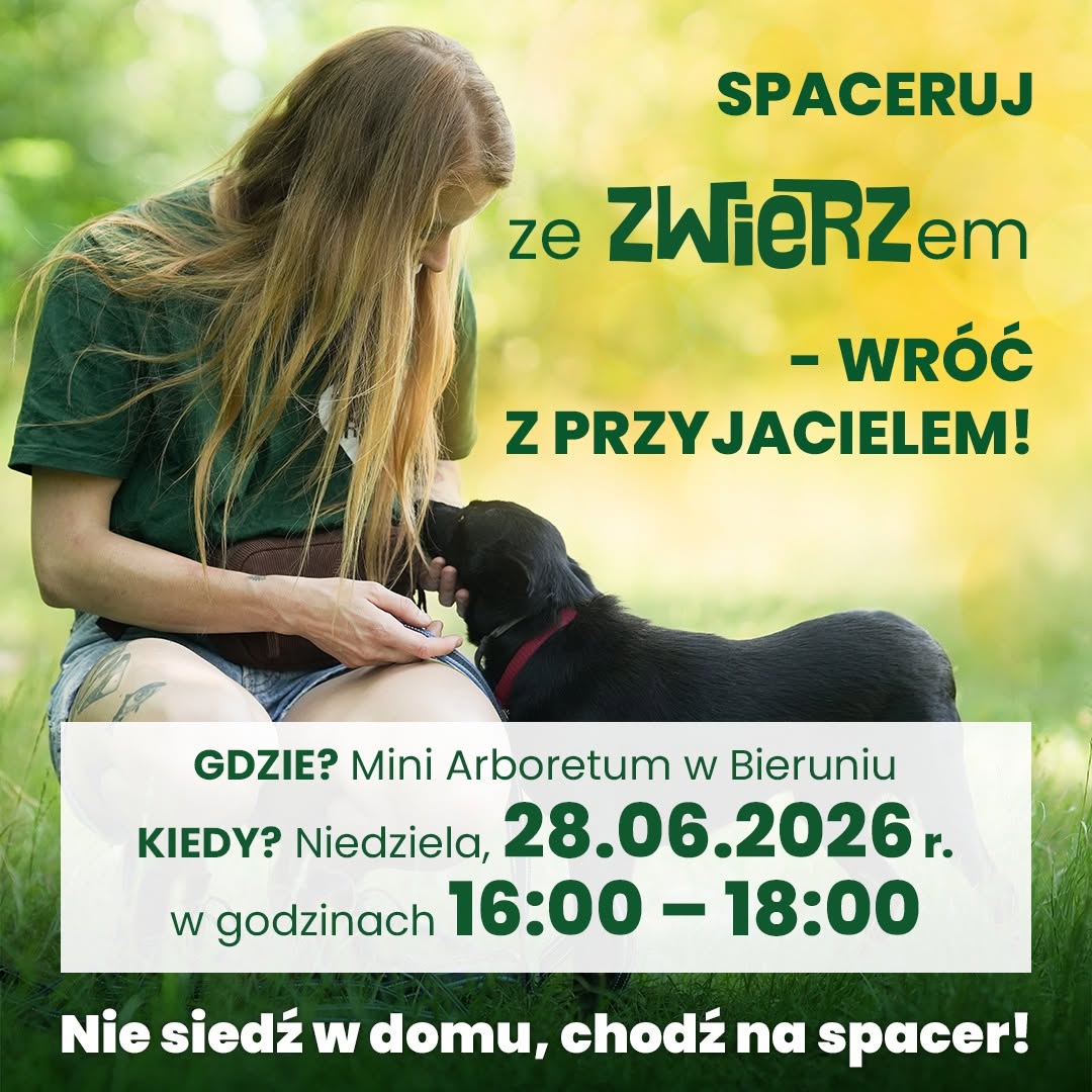 Plakat - Spaceruj ze ZWIERZem Plakat - Spaceruj ze ZWIERZem