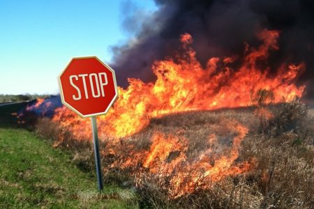 STOP wypalaniu traw!