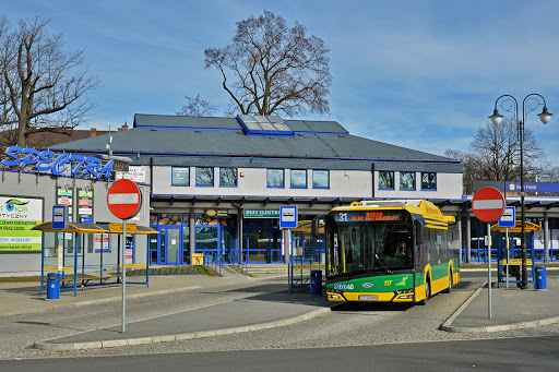 bus