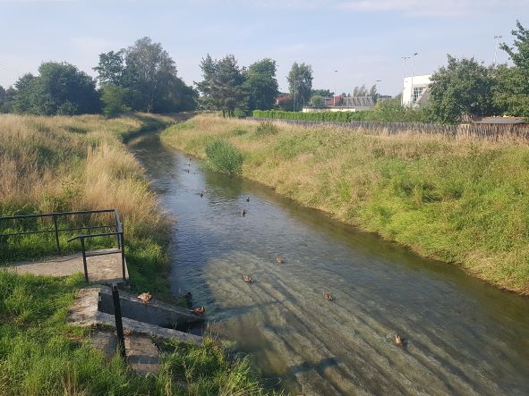 rzeka Mleczna Bieruń