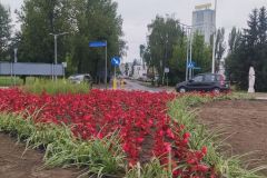 Rondo na ulicy Warszawskiej tymczasowo zagospodarowane