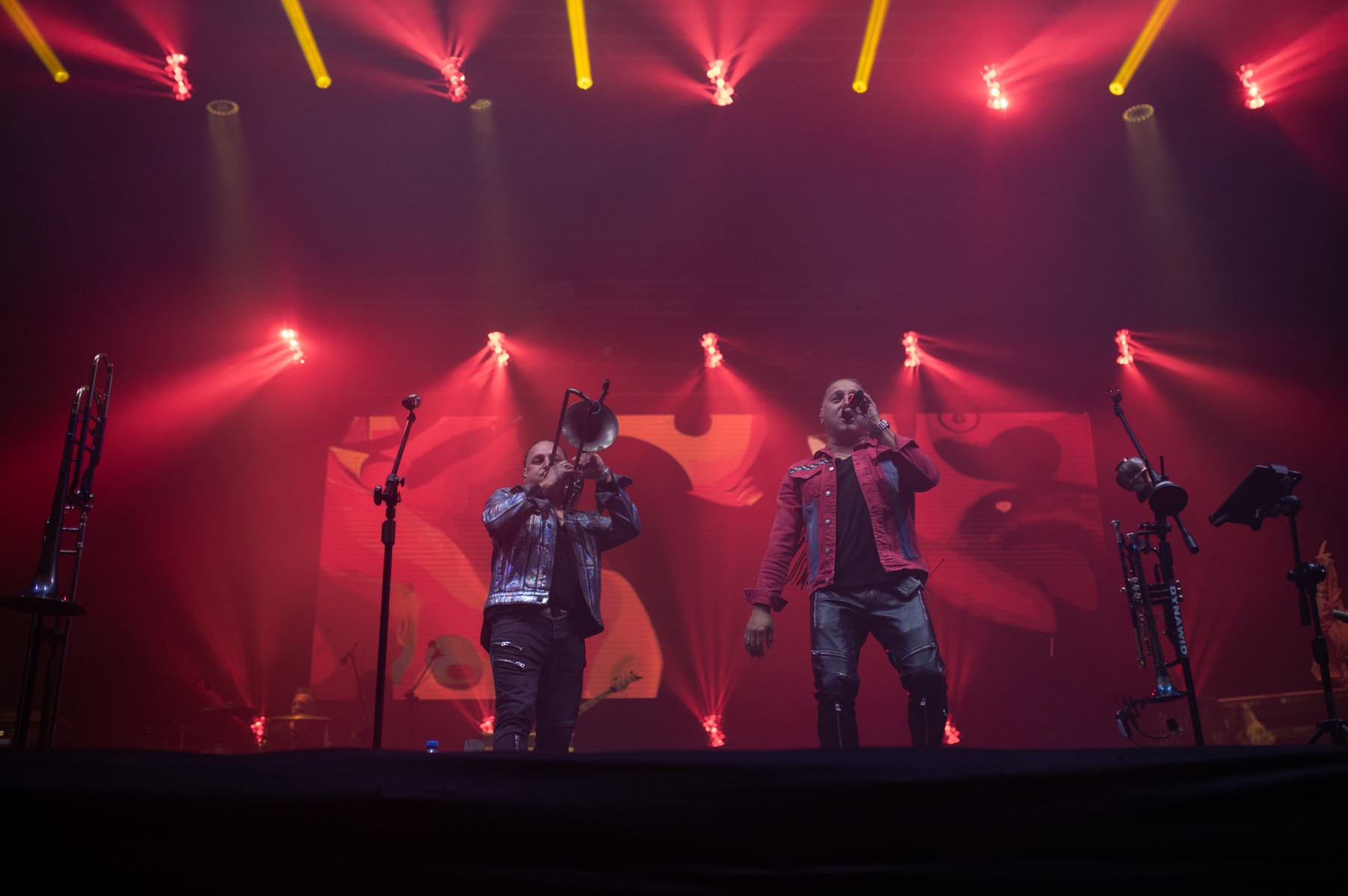 koncert