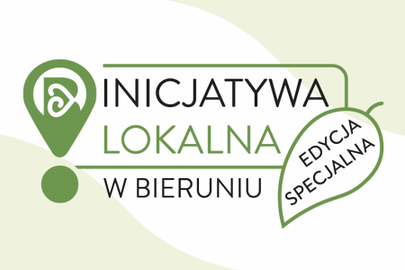 INICJATYWA LOKALNA 2026 - wykaz projektów wybranych do wsparcia