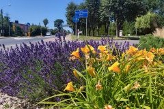 Ostatnie dni na złożenie propozycji zielonego projektu!