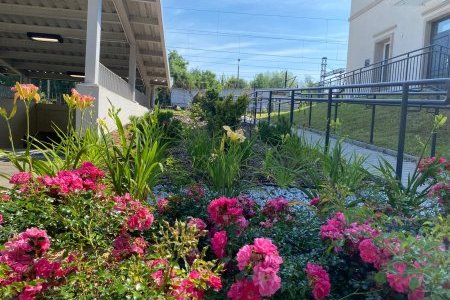 Półmetek etapu składania wniosków do Zielonego Budżetu!