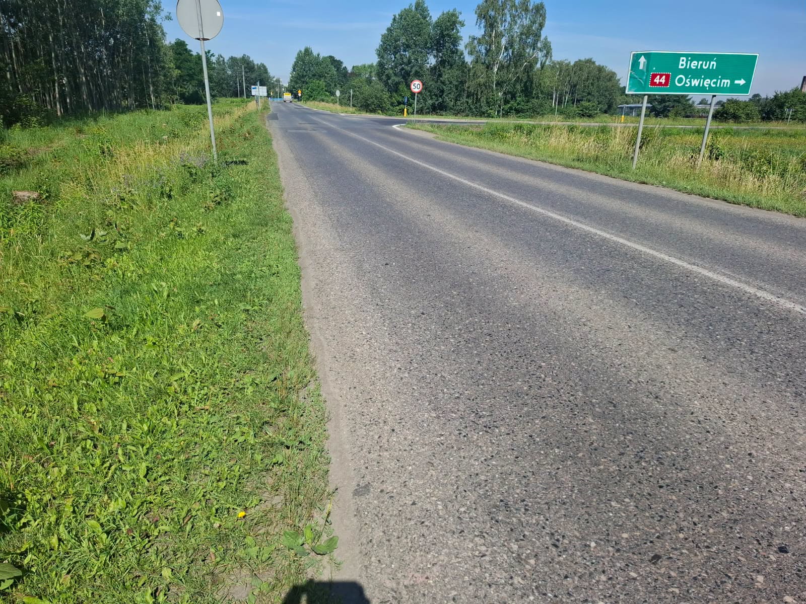 lędzińska