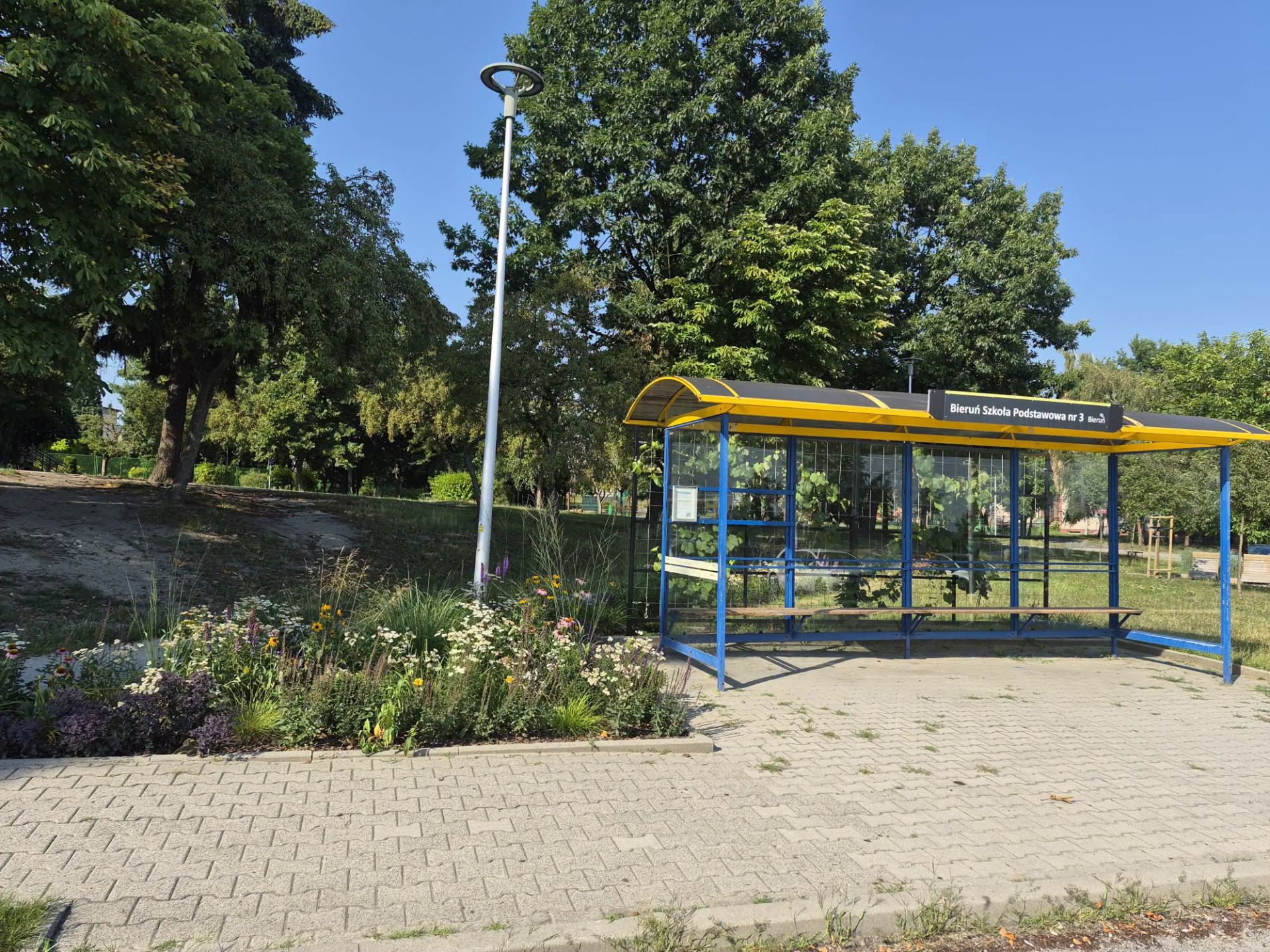 zielony przystanek