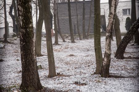 Zakończono prace rewitalizacyjne na Cmentarzu Żydowskim