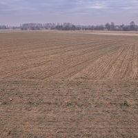 Budowa drogi S1 - Lędziny - ul. Warszawska w Bieruniu -  17 lutego 2025 (3)