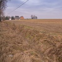 Budowa drogi S1 - Lędziny - ul. Warszawska w Bieruniu -  17 lutego 2025 (4)