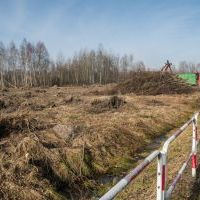 Budowa drogi S1 - Kosztowy - Bieruń (ul. Warszawska) 7 marca 2025 (5)
