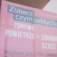 Płuca miejskie - instalacja mobilna w Bieruniu (5)