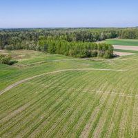 Budowa drogi S1 - Kosztowy - Bieruń (ul. Warszawska) 25 kwietnia 2025 (8)