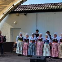 Festyn strażacki z okazji 100-lecia OSP Bieruń Nowy (11)