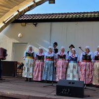 Festyn strażacki z okazji 100-lecia OSP Bieruń Nowy (10)