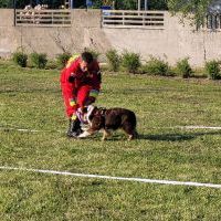 Festyn strażacki z okazji 100-lecia OSP Bieruń Nowy (9)