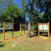 Ekopracownia pod chmurką przy SP1 (6)