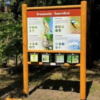 Ekopracownia pod chmurką przy SP1 (3)