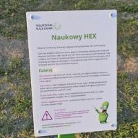 Edukacyjny Plac Zabaw: Nauka Przez Zabawę przy SP3 (5)