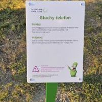 Edukacyjny Plac Zabaw: Nauka Przez Zabawę przy SP3 (2)