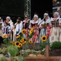 Dożynki 2025 (1)
