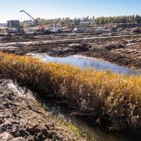 Budowa drogi S1 - Kosztowy - Bieruń - 23 października 2025 (zdjęcia z poziomu ziemi) (1)