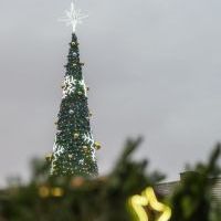 Jarmark Bożonarodzeniowy 2025 (8)