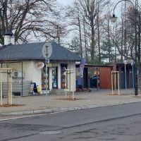 Nasadzenia w Bieruniu (IV kwartał 2025 roku) (3)