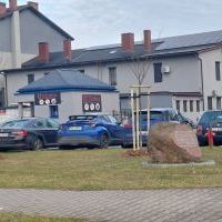 Nasadzenia w Bieruniu (IV kwartał 2025 roku) (2)