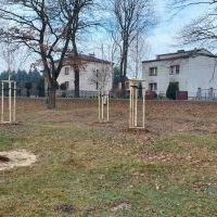 Nasadzenia w Bieruniu (IV kwartał 2025 roku) (1)