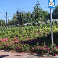  DWORZEC OŻYWIONY KOLORAMI KWIATÓW”  (2)