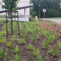  DWORZEC OŻYWIONY KOLORAMI KWIATÓW”  (1)