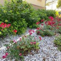 2-etapowe zielone zadanie (dwie edycje) - DWORZEC OŻYWIONY KOLORAMI KWIATÓW”  (3)