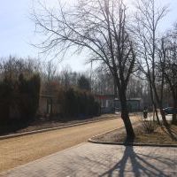 Remont drogi wewnętrznej w osiedlu Chemików (3)