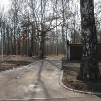 Remont drogi wewnętrznej w osiedlu Chemików - po asfaltowaniu (10)