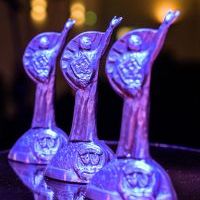 Gala rozdania nagród Starosty Bieruńsko-Lędzińskiego CLEMENS 2026 (6)