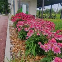 Budynek dworca kolejowego - Centrum Przesiadkowe etap I (3)