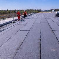 Obwodnica, węzeł Bieruń i łącznica (z poziomu ziemi) - 22 kwietnia 2026 roku (5)