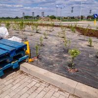 Obwodnica, węzeł Bieruń i łącznica (z poziomu ziemi) - 23 maja 2026 roku (7)