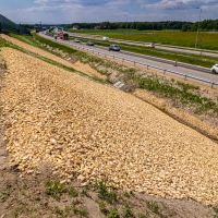 Obwodnica, węzeł Bieruń i łącznica (z poziomu ziemi) - 23 maja 2026 roku (3)