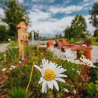 Park Kieszonkowy na osiedlu Granitowa (5)