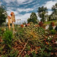Park Kieszonkowy na osiedlu Granitowa (6)