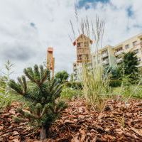 Park Kieszonkowy na osiedlu Granitowa (8)