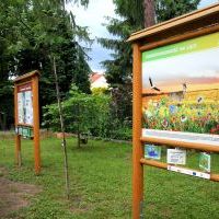 Ekopracownia POD CHMURKĄ przy SP1 (1)
