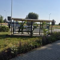 Zielone przystanki (6)