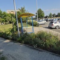 Zielone przystanki (1)