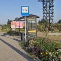 Zielone przystanki (13)