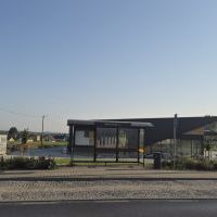 Zielone przystanki (12)