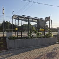 Zielone przystanki (1)