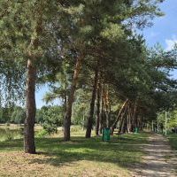 Oświetlenie LED na Łysinie i na ulicy Mikołaja (18)